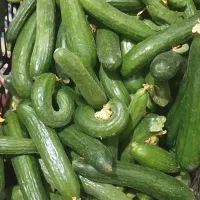 خیارشور محصولات خشک