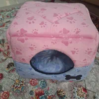لونه چند حالته سگ