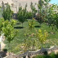 باغچه-500متری-واقع-در-جنب-پارک-ریه-در-خ-اصلی