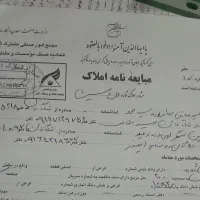 دو قطعه زمین فرعی جاده ربیحات ی قطعه مسیر شمالی|فروش زمین و ملک کلنگی|شادگان, |دیوار