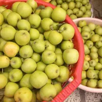 سیب|خوردنی و آشامیدنی|مشهد, استاد یوسفی (شهرک غرب)|دیوار