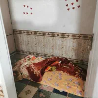 هم خونه ای|اجارهٔ آپارتمان|یاسوج, |دیوار