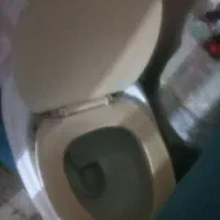 دستشویی فرنگی