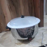 پلوپز سالم و تمیز