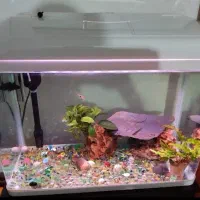 آکواریوم شرکتی شیشه خم مدل دلسا