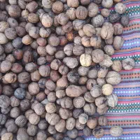 گردو|خوردنی و آشامیدنی|اردبیل, |دیوار