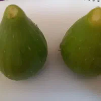 انجیر خوشمزه تازه کیلو ۱۲۰ هزار