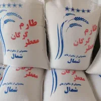 برنج معطر گرگان|خوردنی و آشامیدنی|قم, زنبیل آباد|دیوار