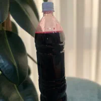 آب زرشک کوهی طبیعی و غلیظ