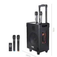 اسپیکر چمدانی YESIDO|پخش‌کننده همراه|ایوان, |دیوار