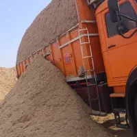 کاه کیسه ای