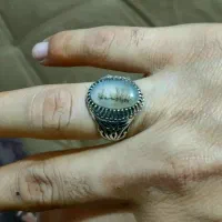 انگشتر شجر قائنات