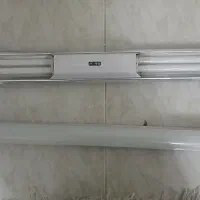 دو عدد مهتابی سالم