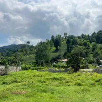 زمین خاص کوهپایه ای/لوکیشن برند/۳۸۰m/مسیر قلعه