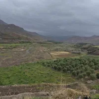 زمین ۱۰۰۰متر بااب وبرق و سند