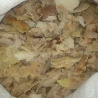 ۲۵۰کیلو نان خشک