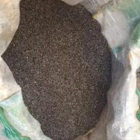 دانه دارویی