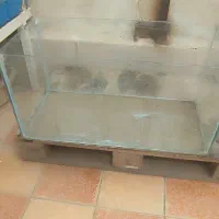 شیشه آکواریوم