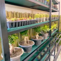 3 استند گل مناسب گلفروشی|فروشگاه و مغازه|آمل, |دیوار