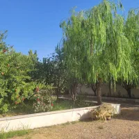 باغ چهار دیواری|فروش زمین و ملک کلنگی|قزوین, |دیوار