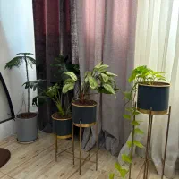 گل و گلدان پایه دار