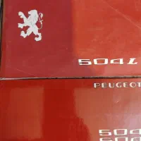 پژو 504|خودرو کلاسیک|مشهد, امیریه|دیوار