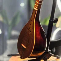 سه تار کنسرتی مهر تک نواز درجه یک|سازهای سنتی|پردیس, فاز ۲|دیوار