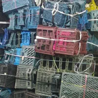 فروش سبد میوه|ظروف نگهدارنده، پلاستیکی، یک‌بارمصرف|مشهد, وحید|دیوار