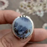 شجر کهنه رکاب تمام آینه و مخراج
