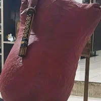 نی انبان