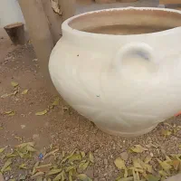 گلدان|صنایع دستی و سایر لوازم تزئینی|یزد, |دیوار