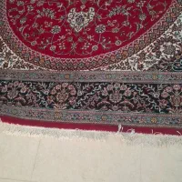 قزش 12 متری شسته شده سالم