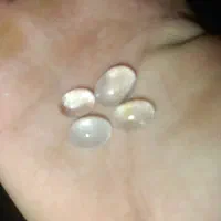۴عدد سنگ دور