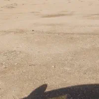 زمین-چهار-فرزندی-معاوضه-با-نیسان-مدل-بالا