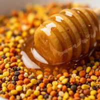 دوره آموزشی طب گیاهی با مدرک دانشگاهی و بین‌المللی