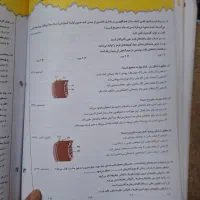 زیست دهم ذره بین|کتاب و مجله آموزشی|فردیس, نگارستان|دیوار