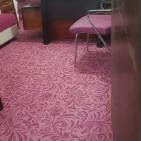 پالاز موکت ۱۲ متری