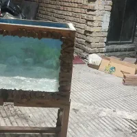 اکواریوم یک متر در یک متر کامل|ماهی|آزادشهر, |دیوار