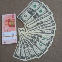 دلار کلکسیونی نو