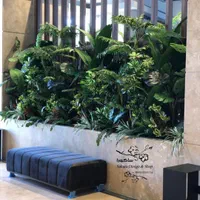 پاچیرا مصنوعی/ تزئینات گیاهی باکس های ترمینال|گل مصنوعی|تهران, آهنگ|دیوار