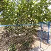 فروش یا معاوضه باغ با مسکن مهر فولادشهر یا خودرو|فروش زمین و ملک کلنگی|عسگران, |دیوار