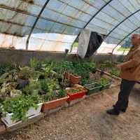 کار در فضای سبز ، باغات