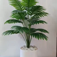 درختچه اقتصادی
