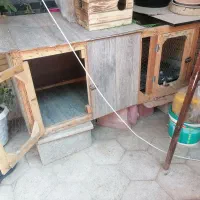 ۲ تا قفس بزرگ سالم|لوازم جانبی حیوانات|شیراز, طلاب|دیوار