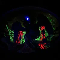 پذیرش انواع سفارشات نقاشی بلک لایت|تابلو، نقاشی، عکس|محمدشهر, سیدآباد|دیوار