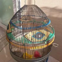 قفس سهره خاکی (طرقه)|لوازم جانبی حیوانات|شیراز, شهرک فرزانگان|دیوار