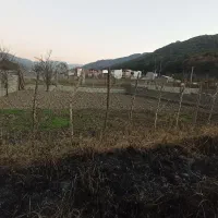 زمین باغی|فروش زمین و ملک کلنگی|زیرآب, |دیوار