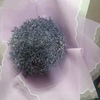 دسته گل طبیعی ژیسفولیا