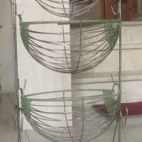 جاسیب زمینی