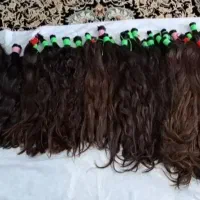 خریدار مو|آرایشی، بهداشتی، درمانی|تربت جام, پاسداران|دیوار